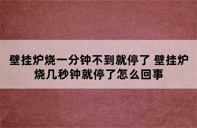 壁挂炉烧一分钟不到就停了 壁挂炉烧几秒钟就停了怎么回事